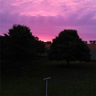 1788网投下载手机版